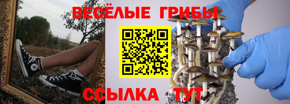 Псилоцибиновые грибы мицелий Котовск