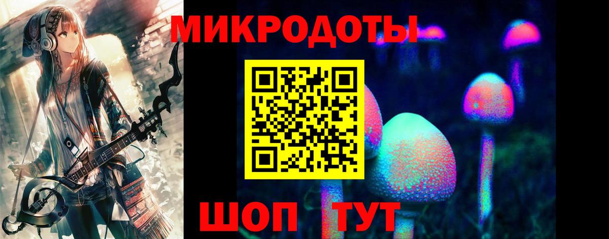 Псилоцибиновые грибы Magic Shrooms  где купить наркоту  Котовск  Вход с VPN 
